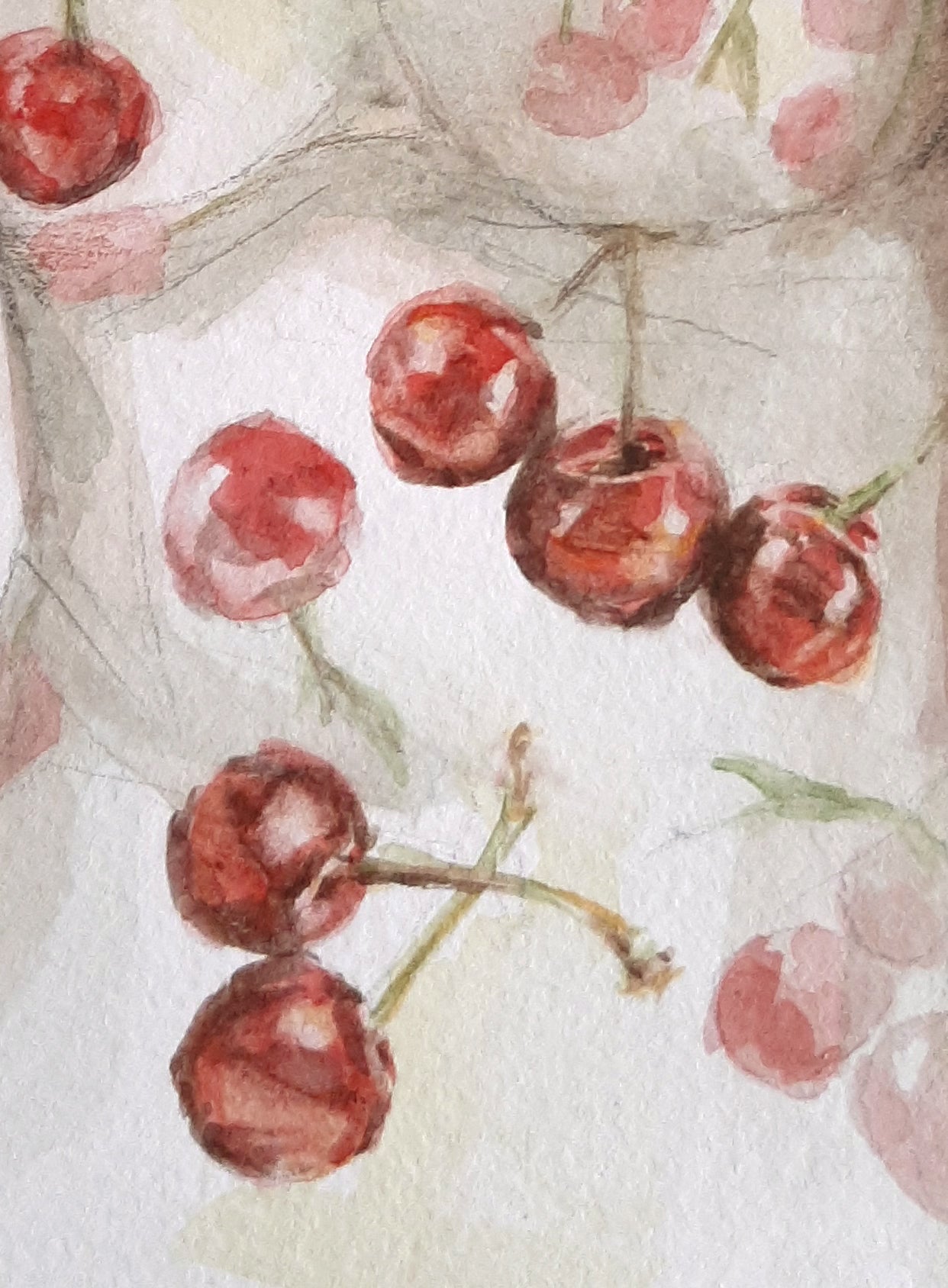 • Acuarela . Vestido cerezas