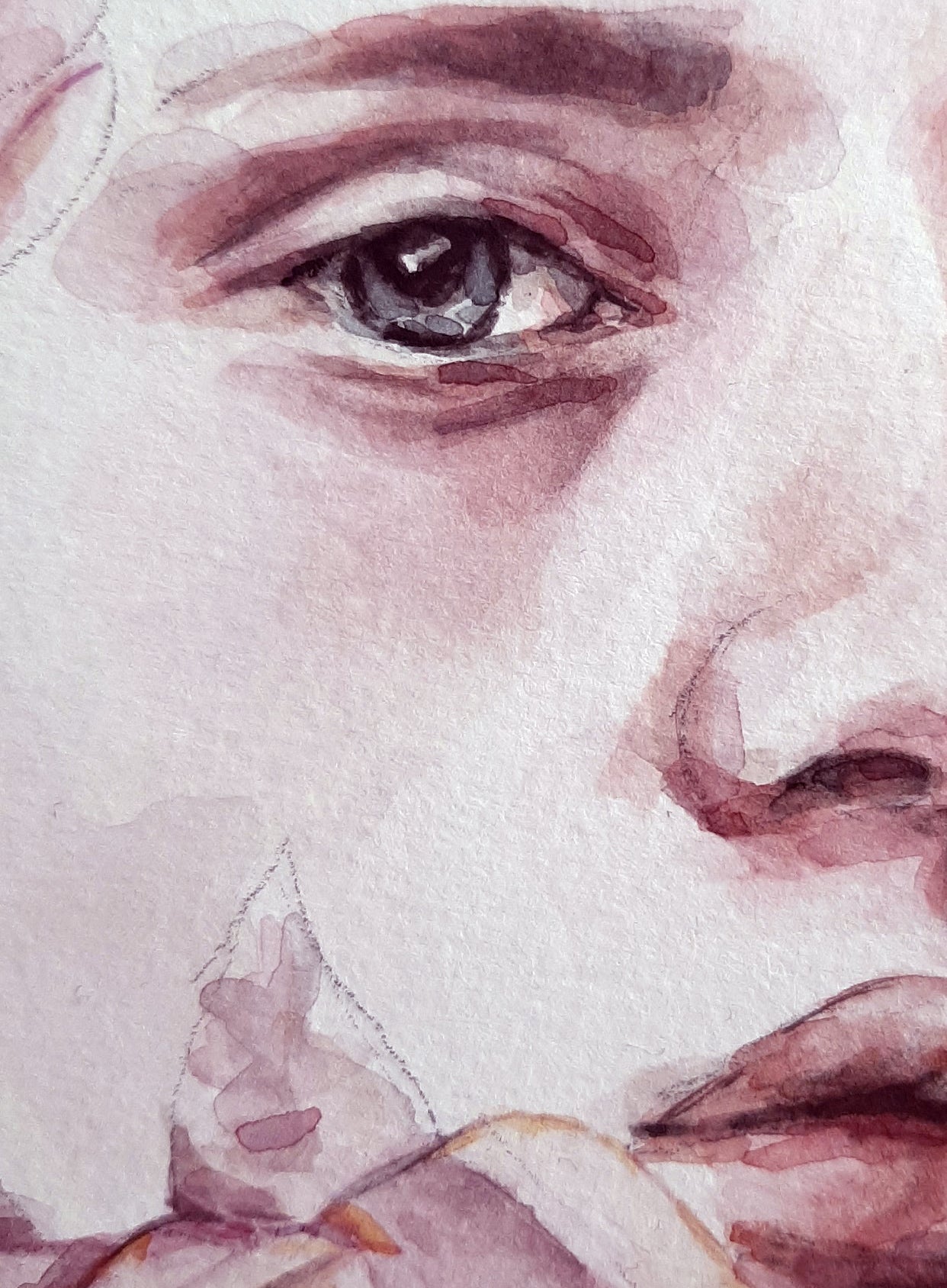 • Acuarela . Magnolias