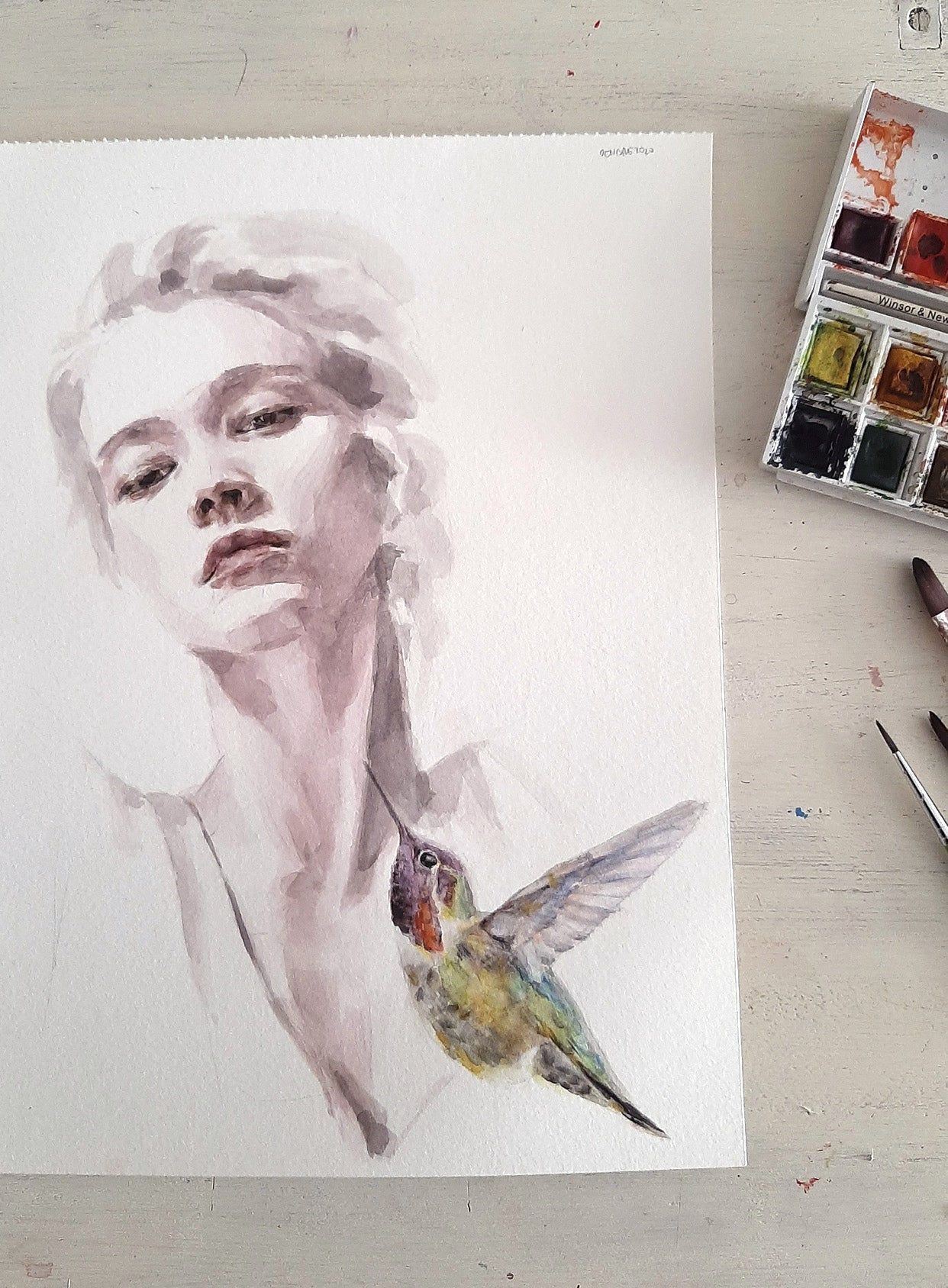 • Acuarela . Colibrí